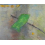 bild1